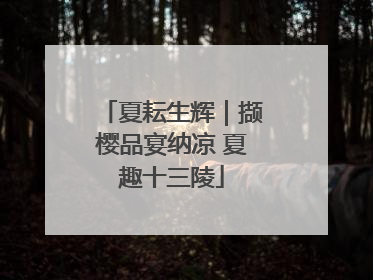 夏耘生辉｜撷樱品宴纳凉 夏趣十三陵