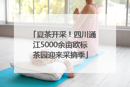 夏茶开采！四川通江5000余亩欧标茶园迎来采摘季