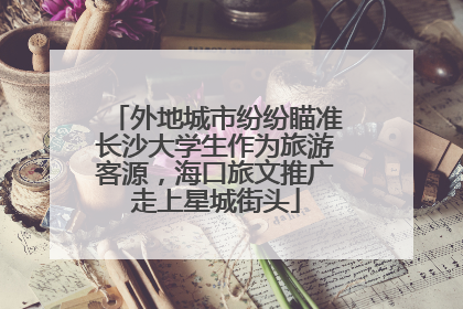 外地城市纷纷瞄准长沙大学生作为旅游客源，海口旅文推广走上星城街头