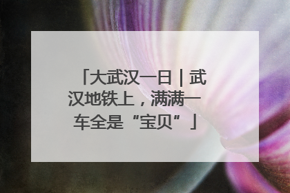 大武汉一日｜武汉地铁上，满满一车全是“宝贝”