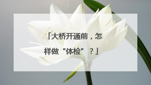 大桥开通前，怎样做“体检”？