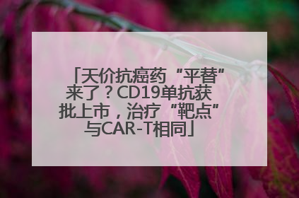 天价抗癌药“平替”来了？CD19单抗获批上市，治疗“靶点”与CAR-T相同