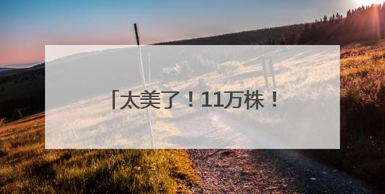 太美了！11万株！福州这里绚丽多彩！