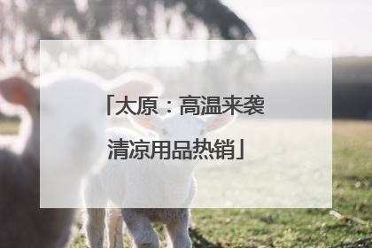 太原：高温来袭 清凉用品热销