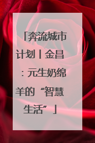 奔流城市计划丨金昌：元生奶绵羊的“智慧生活”