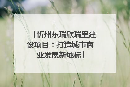 忻州东瑞欣瑞里建设项目：打造城市商业发展新地标