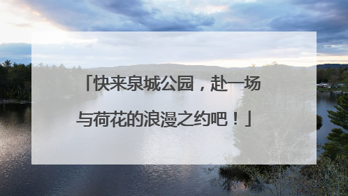 快来泉城公园，赴一场与荷花的浪漫之约吧！