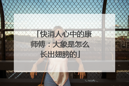 快消人心中的康师傅：大象是怎么长出翅膀的
