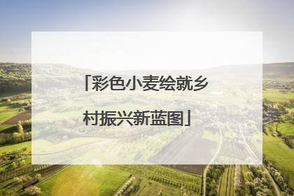 彩色小麦绘就乡村振兴新蓝图