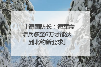 德国防长：德军需增兵多至6万才能达到北约新要求