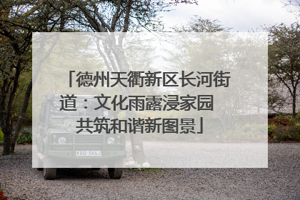 德州天衢新区长河街道：文化雨露浸家园 共筑和谐新图景