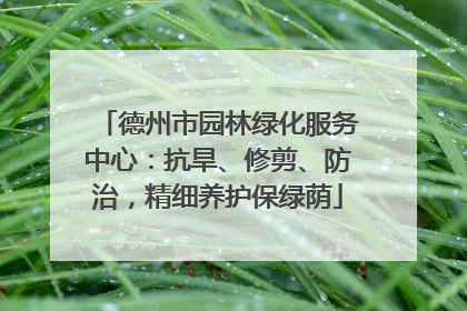 德州市园林绿化服务中心：抗旱、修剪、防治，精细养护保绿荫
