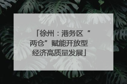 徐州：港务区“两仓”赋能开放型经济高质量发展