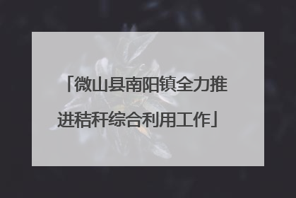 微山县南阳镇全力推进秸秆综合利用工作
