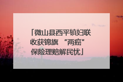 微山县西平镇妇联收获锦旗 “两癌”保险理赔解民忧