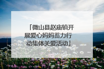 微山县赵庙镇开展爱心妈妈蓄力行动集体关爱活动