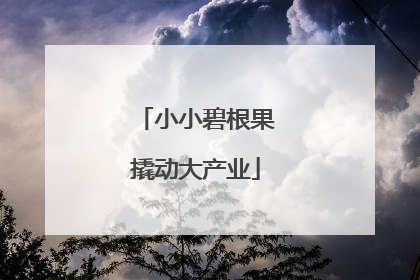小小碧根果撬动大产业
