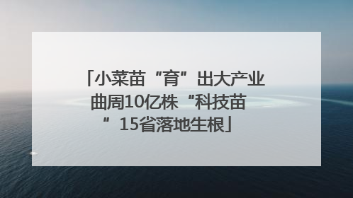 小菜苗“育”出大产业 曲周10亿株“科技苗”15省落地生根