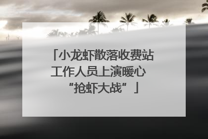 小龙虾散落收费站 工作人员上演暖心“抢虾大战”