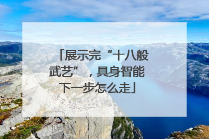 展示完“十八般武艺”，具身智能下一步怎么走