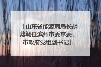 山东省能源局局长胡薄调任滨州市委常委、市政府党组副书记