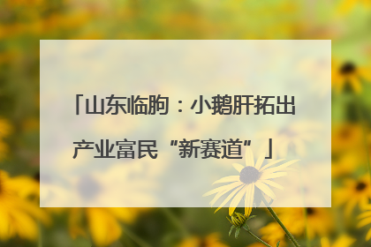 山东临朐：小鹅肝拓出产业富民“新赛道”