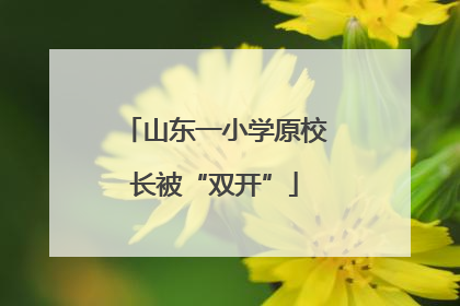 山东一小学原校长被“双开”