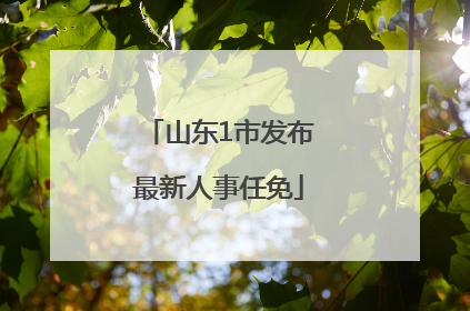山东1市发布最新人事任免