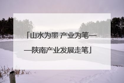 山水为墨 产业为笔——陕南产业发展走笔