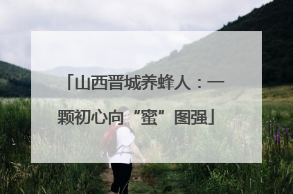 山西晋城养蜂人：一颗初心向“蜜”图强