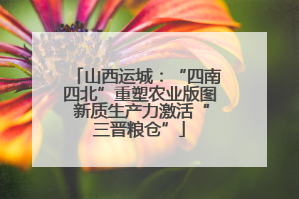 山西运城：“四南四北”重塑农业版图 新质生产力激活“三晋粮仓”