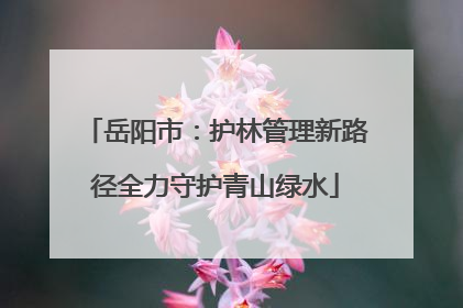 岳阳市：护林管理新路径全力守护青山绿水