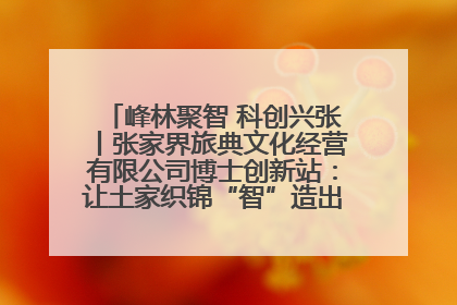 峰林聚智 科创兴张丨张家界旅典文化经营有限公司博士创新站：让土家织锦“智”造出非遗新传奇