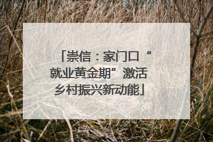 崇信：家门口“就业黄金期”激活乡村振兴新动能