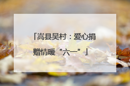 嵩县吴村：爱心捐赠情暖“六一”