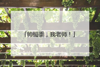 帅蜀黍，我老师！
