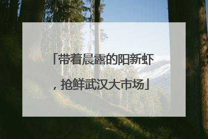 带着晨露的阳新虾，抢鲜武汉大市场