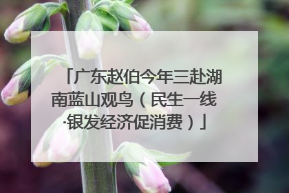 广东赵伯今年三赴湖南蓝山观鸟（民生一线·银发经济促消费）