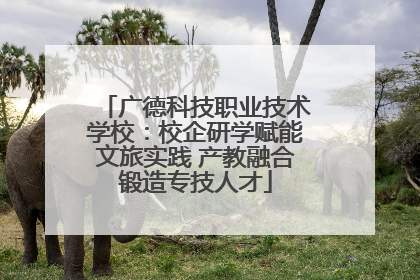 广德科技职业技术学校：校企研学赋能文旅实践 产教融合锻造专技人才