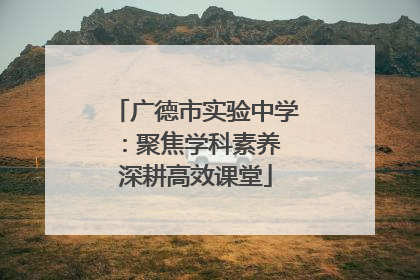广德市实验中学：聚焦学科素养 深耕高效课堂