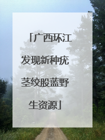 广西环江发现新种疣茎绞股蓝野生资源