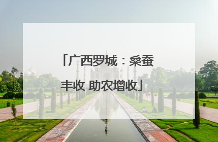 广西罗城：桑蚕丰收 助农增收