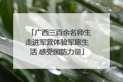 广西三百余名师生走进军营体验军旅生活 感受国防力量