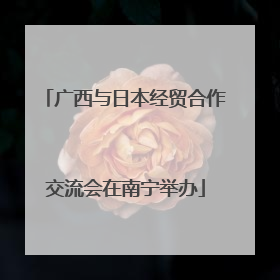 广西与日本经贸合作交流会在南宁举办