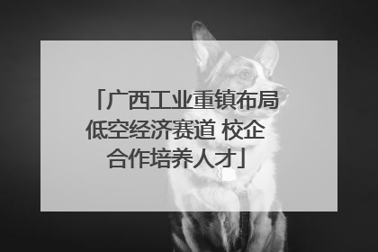 广西工业重镇布局低空经济赛道 校企合作培养人才