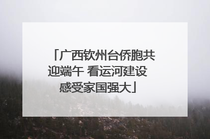 广西钦州台侨胞共迎端午 看运河建设感受家国强大