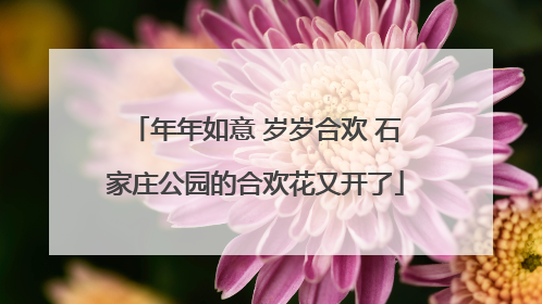 年年如意 岁岁合欢 石家庄公园的合欢花又开了