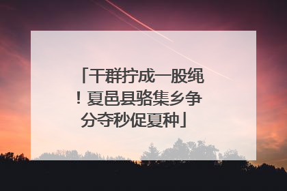 干群拧成一股绳！夏邑县骆集乡争分夺秒促夏种