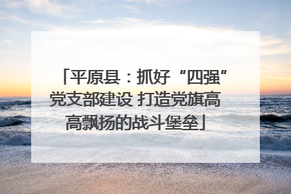 平原县：抓好“四强”党支部建设 打造党旗高高飘扬的战斗堡垒