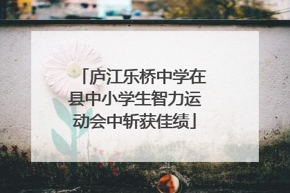 庐江乐桥中学在县中小学生智力运动会中斩获佳绩